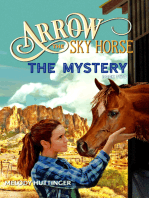 Arrow the Sky Horse: The Mystery