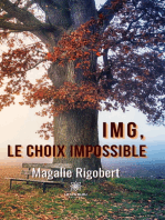 IMG, le choix impossible: Roman