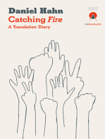 Catching Fire: A Translation Diary