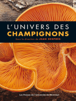 L' univers des champignons