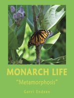 Monarch Life: “Metamorphosis”