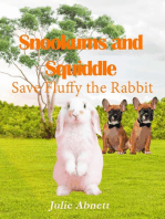 Snookums and Squiddle: Save Fluffy the Rabbit