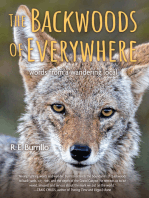 The Backwoods of Everywhere: Words From a Wandering Local