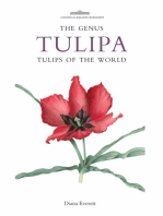 The Genus Tulipa