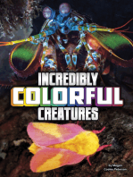 Incredibly Colorful Creatures