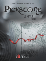 Pickstone - Tome 2