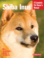 Shiba Inus
