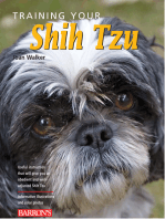 Training Your Shih Tzu
