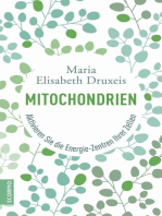 Mitochondrien: Aktivieren Sie die Energie-Zentren Ihrer Zellen