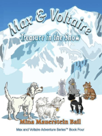 Max & Voltaire Treasure in the Snow