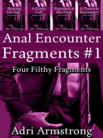 Anal Encounter Fragments #1
