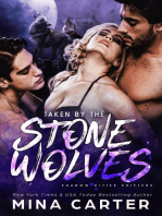 Taken by the Stone Wolves