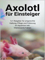Axolotl für Einsteiger: 1x1 Ratgeber für artgerechte Haltung, Pflege und Fütterung im Aquarium inkl. Interessante Fakten