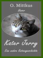 Unser Kater Jerry
