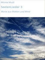 SeelenLieder 3: Worte aus Wolken und Wind