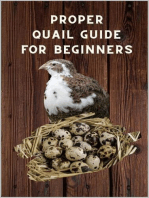 Proper Quail Guide for Beginners: 1x1 Guide to Quail Keeping and Breeding Japanese Laying Quail. Perfect Quail Raising. A wonderful Poultry Breeds