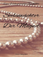 Seelenwächter - Der Magnet: Eine Weltenwandel Geschichte