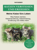 Katzen verstehen und erziehen