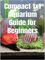 Compact 1x1 Aquarium Guide for Beginners: What do you need to know for a purchase, equipment and maintenance? Which aquarium fish?