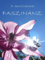 Faszinanz