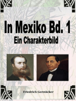 In Mexiko Bd. 1: Ein Charakterbild
