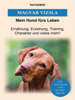 Magyar Vizsla: Erziehung, Training und Charakter von Magyar Vizsla