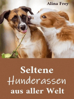 Seltene Hunderassen aus aller Welt