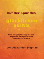 Auf der Spur des glücklichen Seins: Eine Wegbegleitung durch den Irrgarten der spirituellen Selbsterforschung