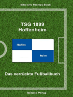 TSG 1899 Hoffenheim