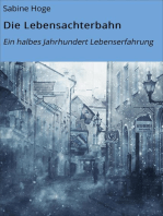 Die Lebensachterbahn: Ein halbes Jahrhundert Lebenserfahrung