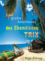 Das große Abenteuer des Chamäleons TRIX: TRIXs erstes Abenteuer