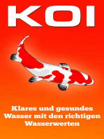 KOI: Klares und gesundes Wasser mit den richtigen Wasserwerten