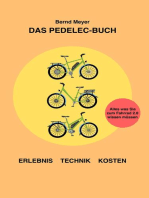 Das Pedelec-Buch: Alles, was Sie zum Fahrrad 2.0 wissen müssen – Erlebnis, Technik, Kosten