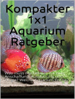 Kompakter 1x1 Aquarium Ratgeber: Was muss man wissen für eine Anschaffung, Ausstattung und Pflege? Welche Aquarium Fische?