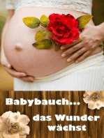 Babybauch...das Wunder wächst: Alles rund um Schwangerschaft, Geburt und Babyschlaf! (Schwangerschafts-Ratgeber)