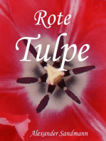 Rote Tulpe