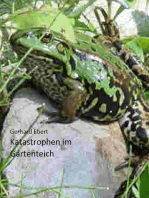 Katastrophen im Gartenteich: Erlebnisse mit Fischen und Fröschen