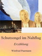 Schutzengel im Nahflug