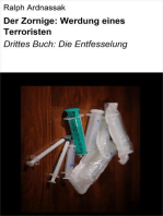 Der Zornige: Werdung eines Terroristen: Drittes Buch: Die Entfesselung