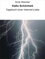 Hallo Schönheit: Tagebuch einer Internet-Liebe