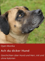 Ach du dicker Hund: Geschichten über Hund und Herr, mit und ohne Kalorien