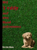 Mit Teddy auf den Hund gekommen