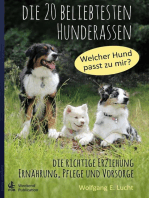 Die 20 beliebtesten Hunderassen: Die richtige Erziehung, Ernährung, Pflege und Vorsorge