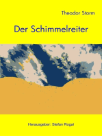 Der Schimmelreiter: - mit Leitfaden zur Interpretation -