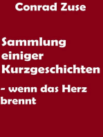 Sammlung einiger Kurzgeschichten: Wenn das Herz brennt