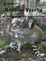 Bonjour Vazaha: im Taxi-Brousse durch Madagaskar