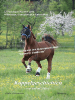 Koppelgeschichten - von und mit Pferd; Calimeros Geschichte: Calimero erzählt