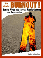 Nie wieder Burnout!: Sanfte Wege aus Stress, Überforderung und Depression.