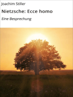 Nietzsche: Ecce homo: Eine Besprechung