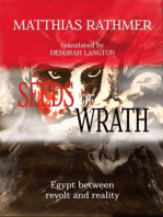 Seeds of Wrath: Egypt between revolt and reality
